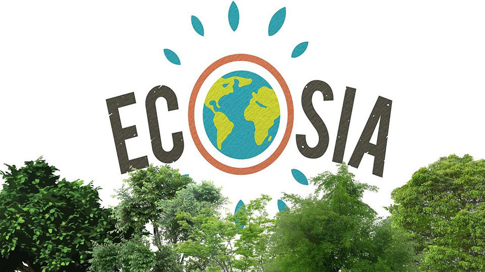 Ecosia, un motore di ricerca con il pollice verde